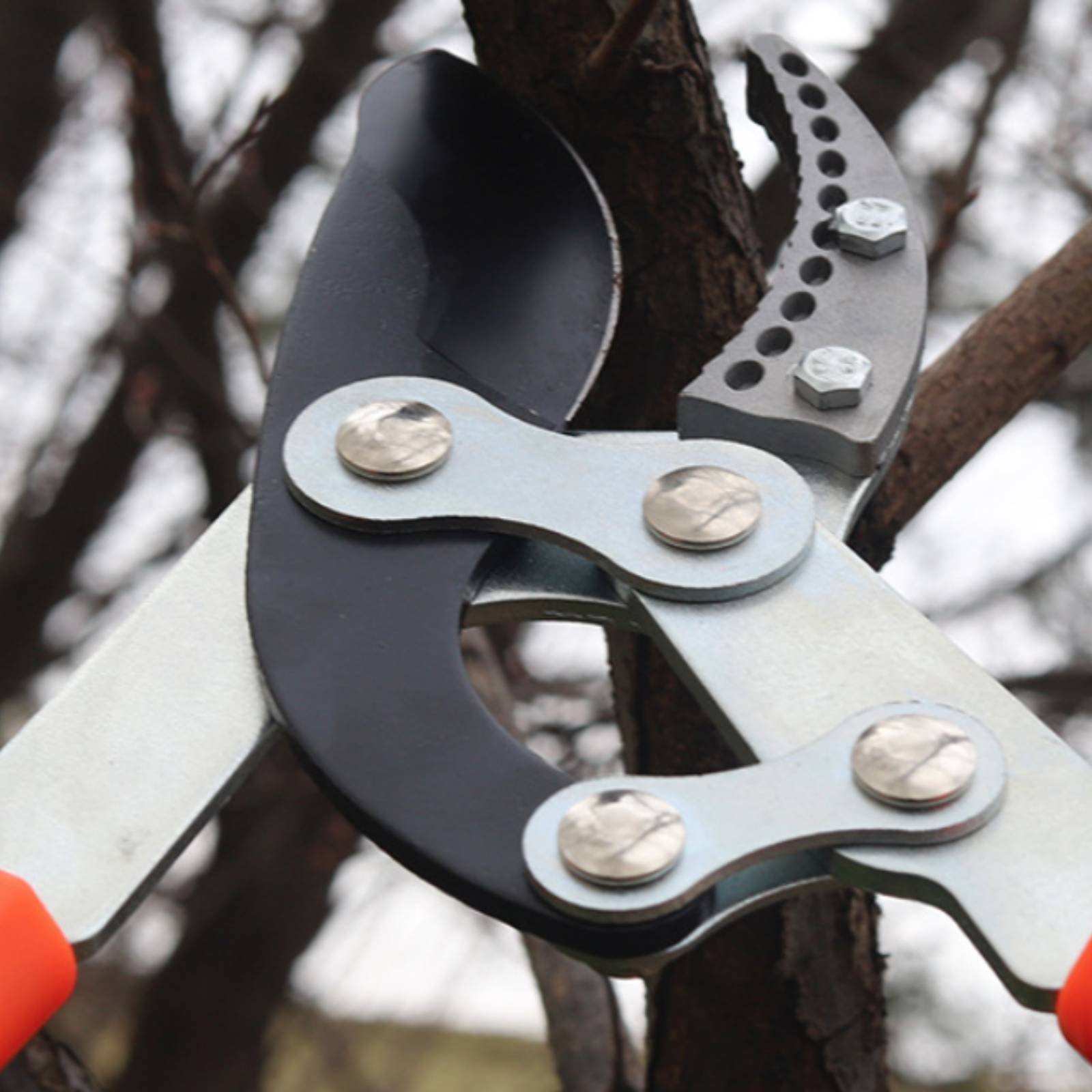Garden Tools - Pemangkas Cabang Teleskopik Pisau Tajam Pemangkas