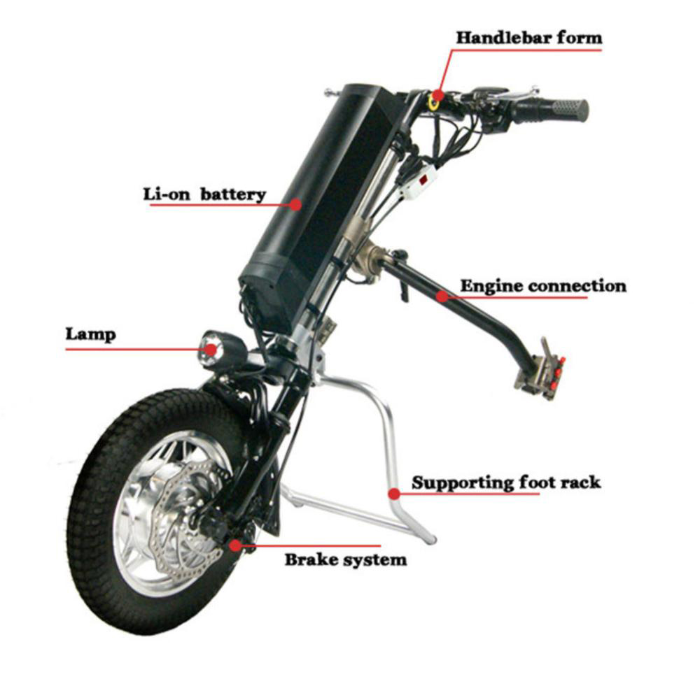 Coofull 12 16 Inch 36V Aksesor - Electrical ulasan dan harga