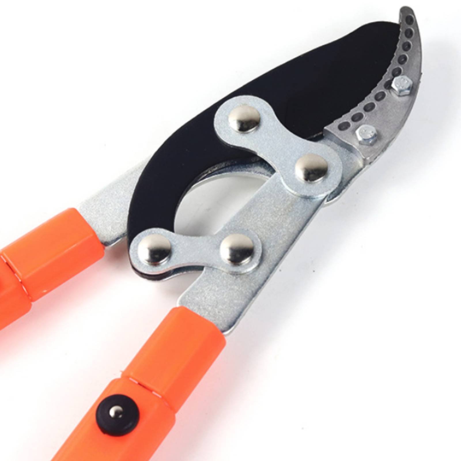Pemangkas Cabang Teleskopik Pi - Garden Tools ulasan dan harga